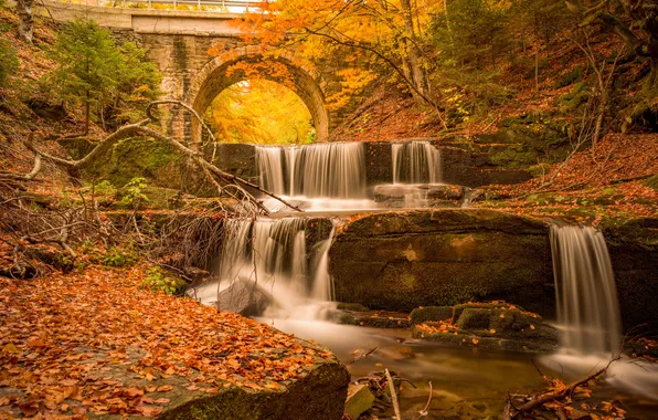 Picture autumn, trees, bridge, river, waterfall, cascade, fallen leaves, Bulgaria
