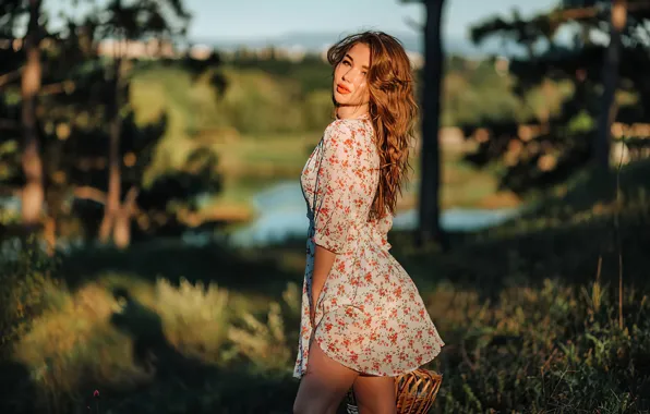 Picture girl, grass, sky, dress, nature, lake, model, women