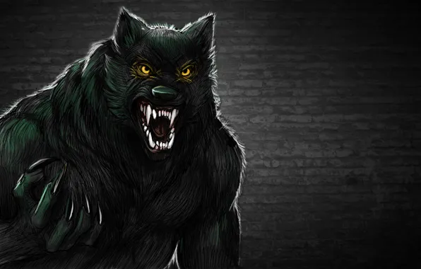 Wall, wolf, werewolf, toothy, werewolf