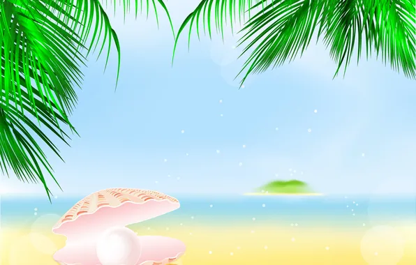 Picture sand, sea, beach, Palma, shell, beach, sea, pearl