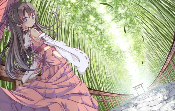 Girl, bamboo, art, touhou, hakurei reimu, ging1993