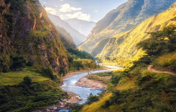 Clouds, light, trees, mountains, fog, river, stream, rocks