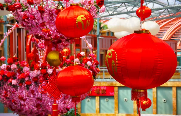 Picture spring, China, lanterns