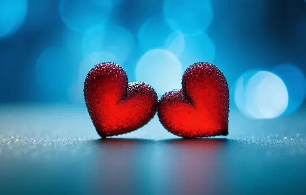 Love, holiday, heart, heart, hearts, red, a couple, heart