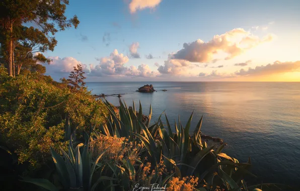 Picture sea, landscape, sunset, nature, shore, vegetation, Cyprus