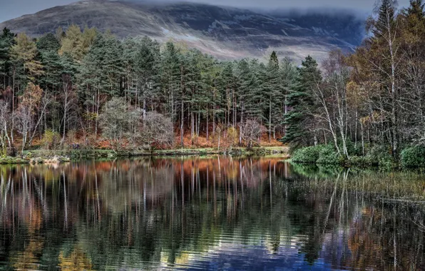 Forest, water, trees, mountains, lake, reflection, Scotland, Glencoe Lochan