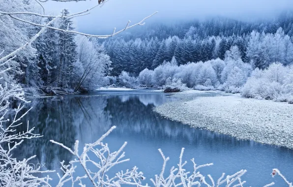 Winter, forest, snow, trees, branches, fog, river, blue