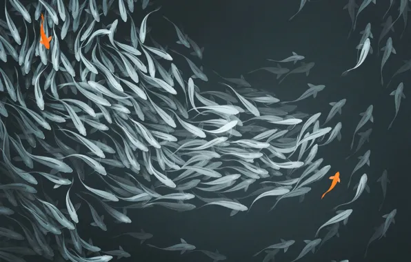 Water, Minimalism, Pond, Fish, Style, Fish, Fish, Art