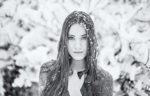 Picture eyes, look, girl, snow, face, hair