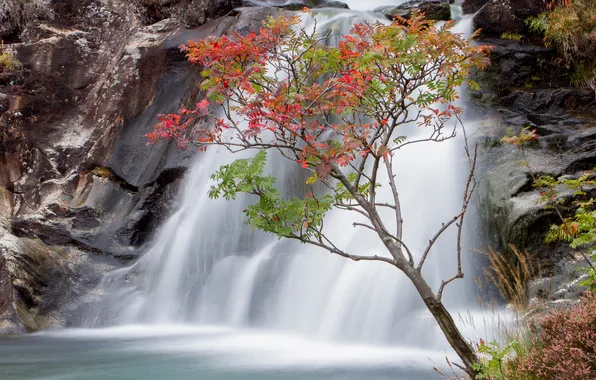 Autumn, leaves, tree, rocks, waterfall