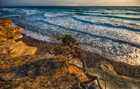 Sea, landscape, shore, morning