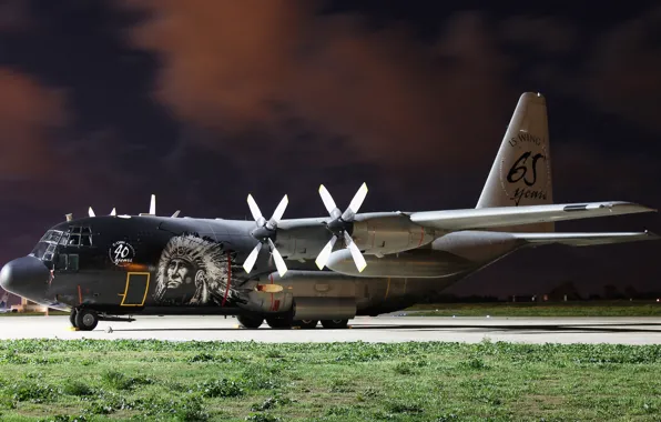 Picture the plane, the airfield, military transport, C-130, (CH-13)
