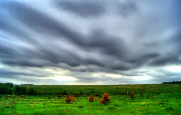 Picture field, grass, clouds