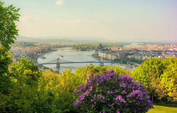 Picture Wallpaper, lilac, Hungary, Budapest, The Danube