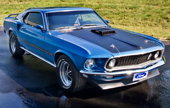 Blue, lawn, Mustang, Ford, Ford, 1969, Mustang, muscle car