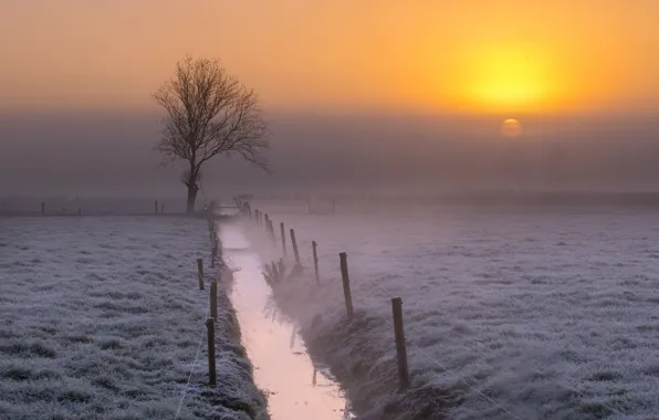 Wallpaper fog, channel, field