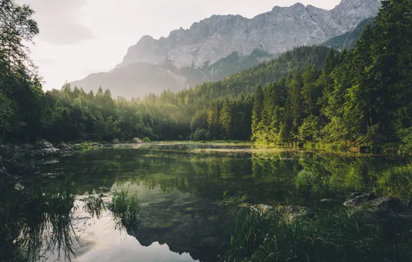 Picture forest, mountains, nature, lake