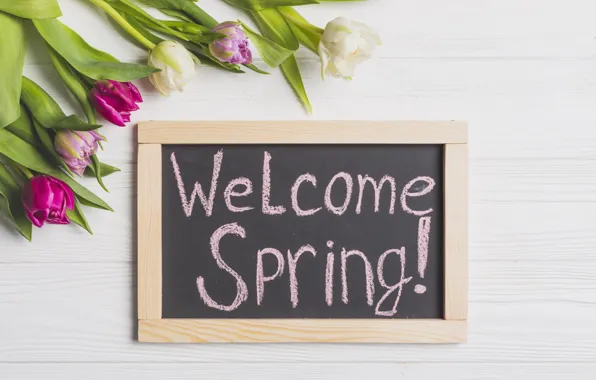 Flowers, Board, spring, colorful, tulips, wood, pink, flowers