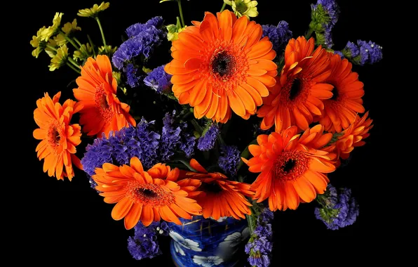 Picture bouquet, petals, vase, gerbera