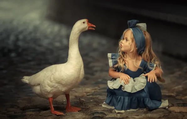 Picture mood, bird, meeting, girl, goose, familiarity