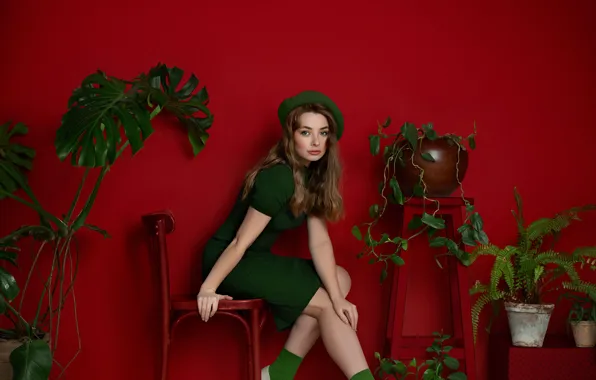 Girl, flowers, pose, style, dress, chair, shoes, red background
