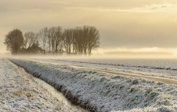 Picture winter, snow, trees, fog, home, channel, Netherlands, Goeree-Overflakkee