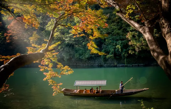 Autumn, Park, river, boat, channel