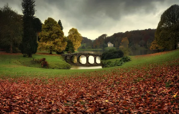 Autumn, nature, Park