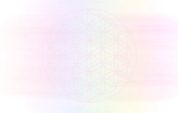 Abstraction, minimal, abstract, pink, spiritual, sacred geometry, flower of life, the flower of life