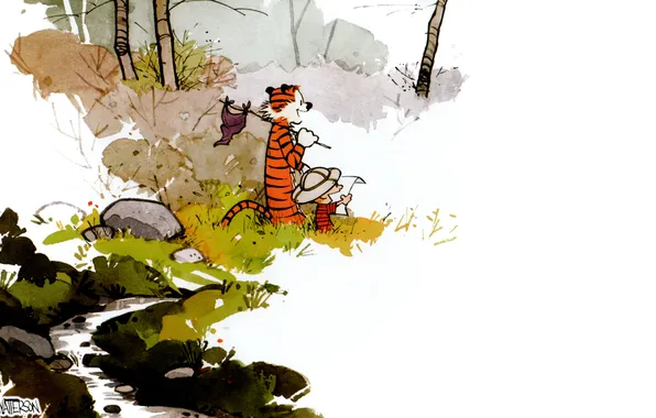 Picture tiger, boy, comics, Calvin and Hobbes
