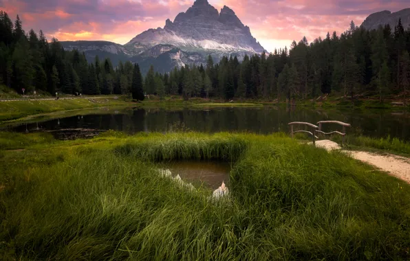 Forest, grass, mountains, lake, shore, Alps, the bridge