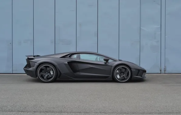 Picture Lamborghini, side view, Aventador, Mansory, Carbonado