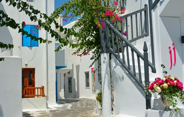 Wallpaper flowers, Greece, ladder, street, Greece, Mykonos, Mykonos for ...