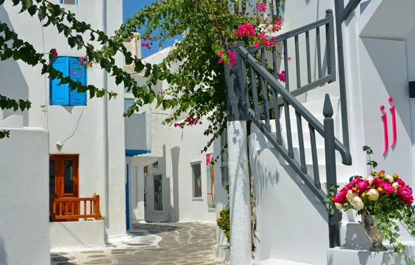 Flowers, Greece, ladder, street, Greece, Mykonos, Mykonos