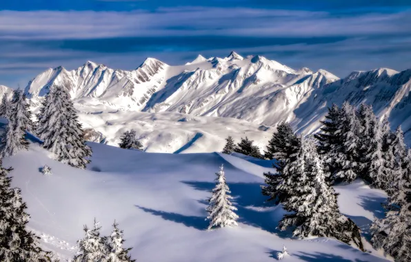 Winter, snow, trees, mountains, Switzerland, ate, The Pennine Alps