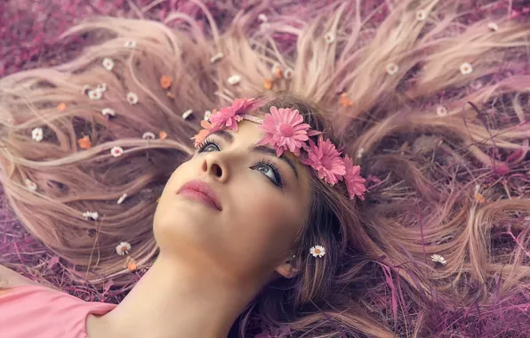 Picture girl, sponge, flowers, wreath, Alessandro Di Cicco