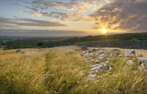 Grass, sunset, stones, England, England, Ingleton