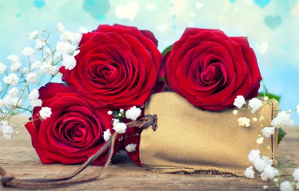 Roses, buds, gypsophila