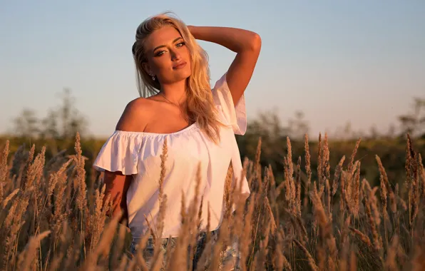 Field, grass, look, the sun, nature, pose, shorts, portrait
