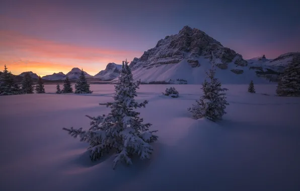 Snow, mountains, dawn, morning, ate, Canada, Albert, Banff National Park
