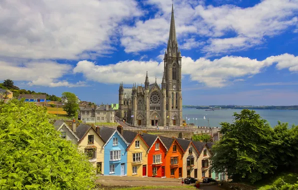 Picture home, Ireland, Cov in a, St. Colman 's Cathedral