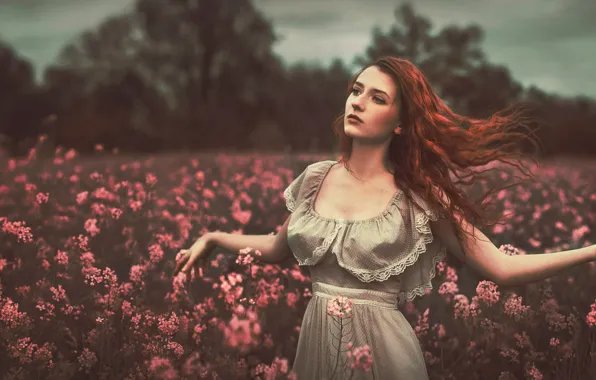Picture field, flowers, bokeh, the red-haired girl