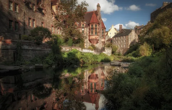 Grass, trees, the city, reflection, home, Scotland, the bushes, Edinburgh