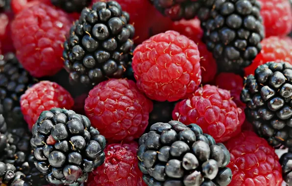 Picture macro, berries, background