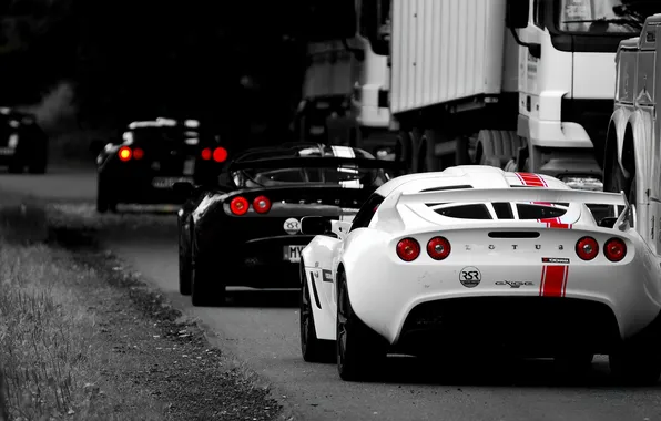 Picture black, track, white, lotus, colon