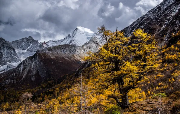 Picture autumn, the sky, clouds, snow, trees, mountains, slope
