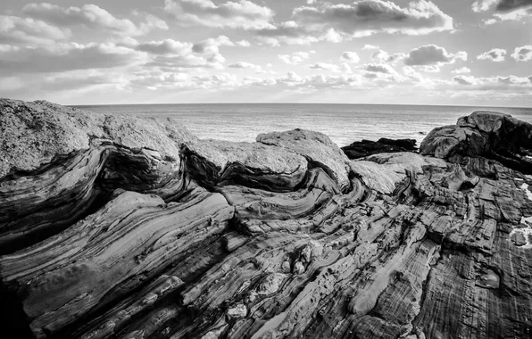 Picture the ocean, rocks, coast, black and white