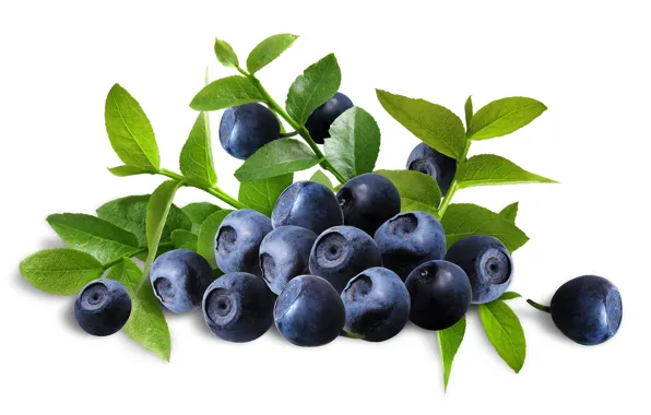 Berries, blueberries, blueberries