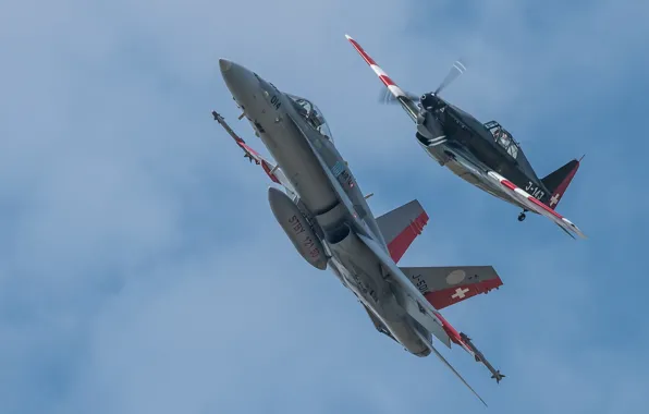 Picture flight, fighters, Hornet, CF-18, Morko-Morane