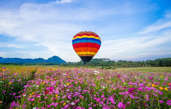 Picture field, summer, the sky, the sun, flowers, balloon, colorful, meadow